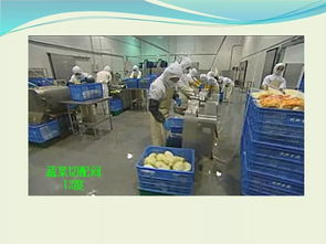 收藏 冷链食品工厂基本知识