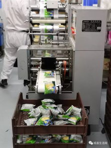 近日,陇南生活网团队观摩成县优点食品厂