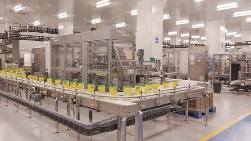 联合利华全国首个全品类食品工厂投产,打造智能制造与供应链协同新样板