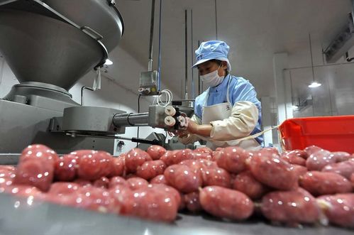河北香宇 打造优秀企业,生产百姓放心食品